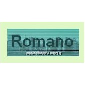 德國(guó)Romano傳感器