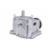 Delroyd Worm Gear 斜齒輪減速機系列